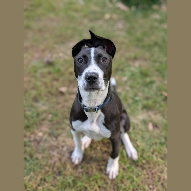 Photo of Beau Nee Sid