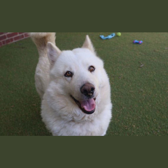 Photo of Luna