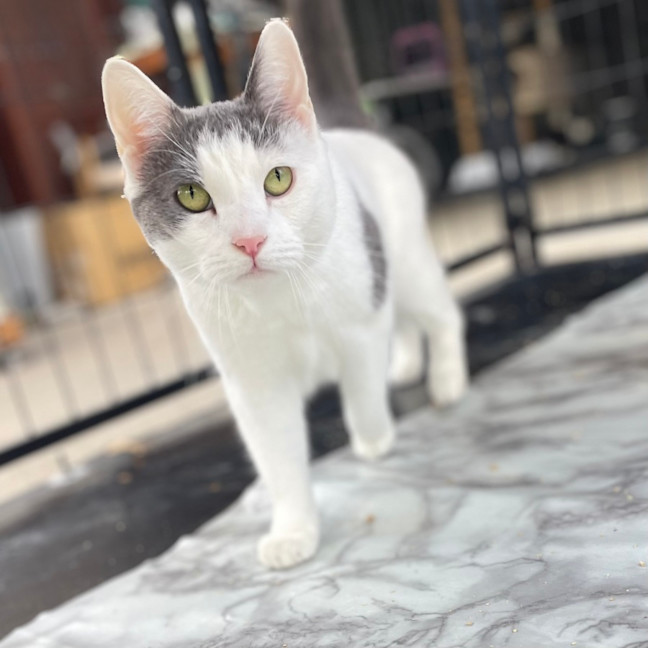 Photo of Barney Jr