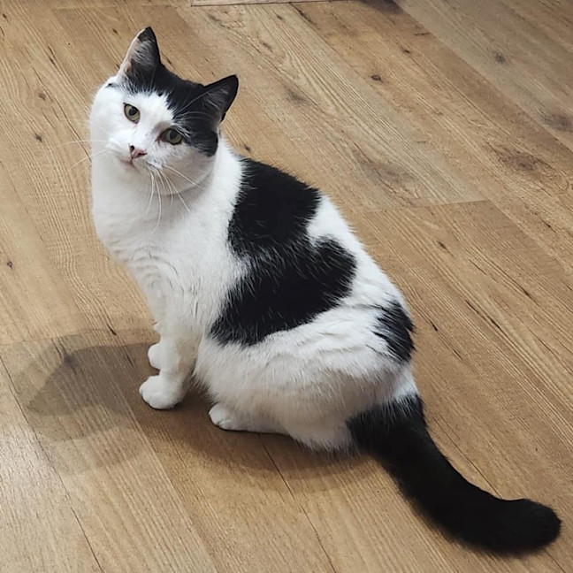 Photo of 9336   Karen