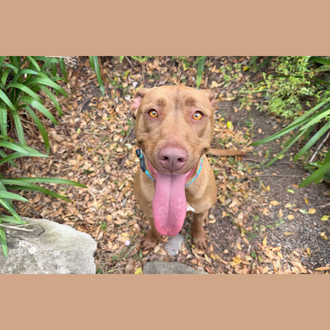 Photo of Missy