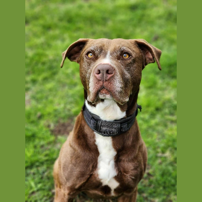 Photo of 🥓 Eazy 6370 🥓