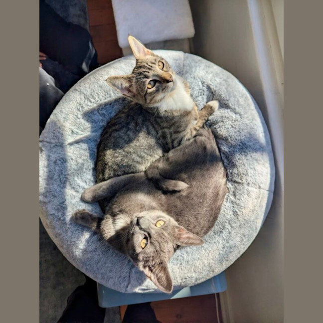 Photo of Bobby And Boris