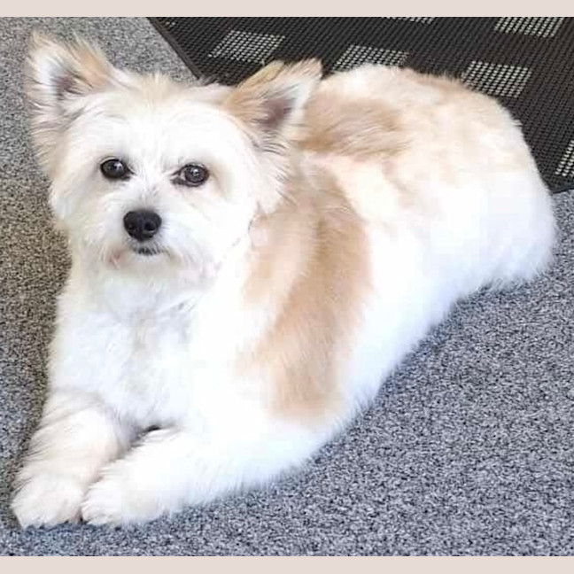 Photo of Bert