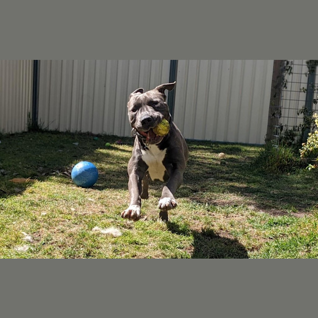 Photo of Tinker