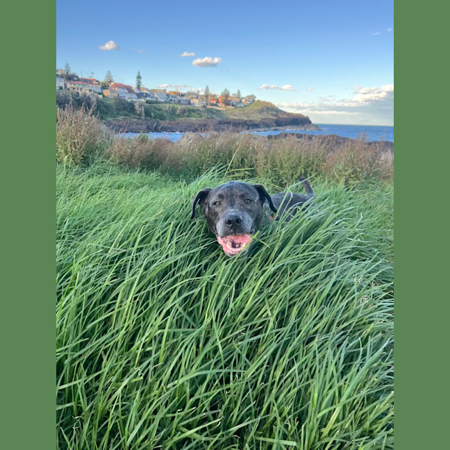 Photo of Chloe