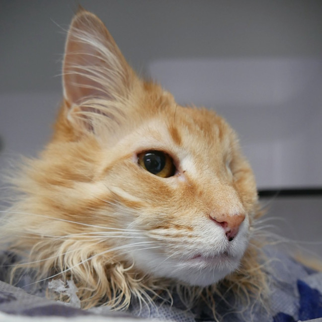 Photo of Evie Sta012829