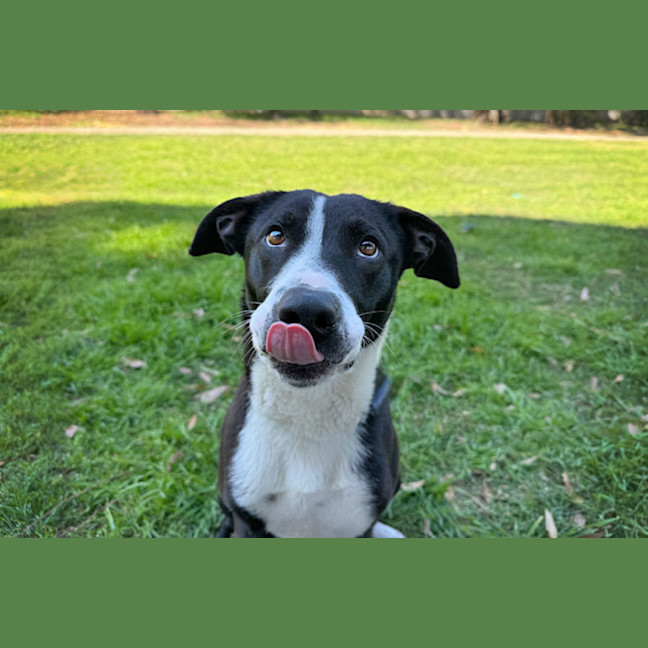 Photo of Saige