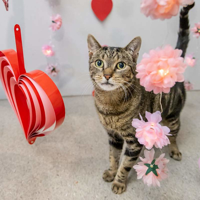 Photo of Turbo