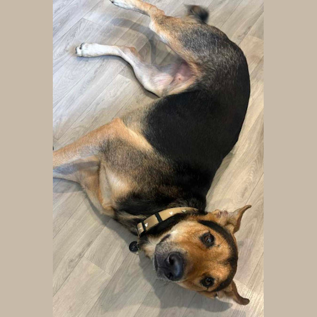 Photo of Thor