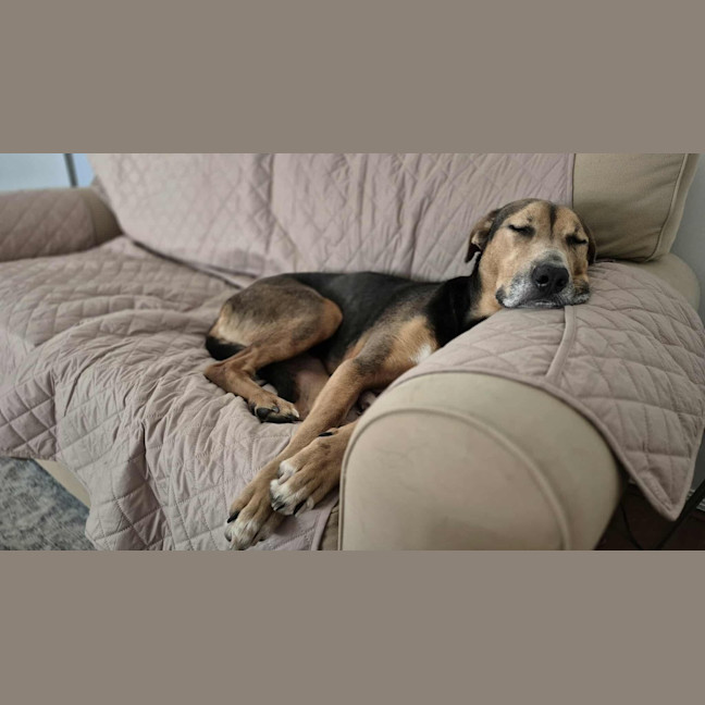 Photo of Ruby