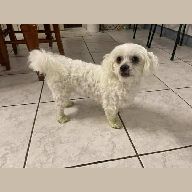 Photo of Coco & Latte