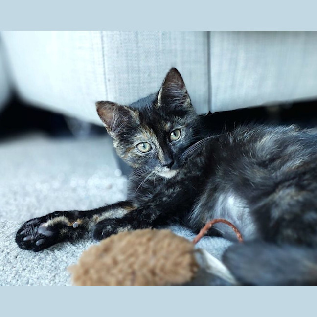 Photo of Billie Eilish