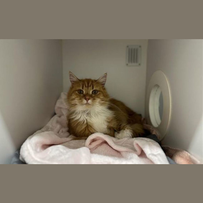 Photo of Lila