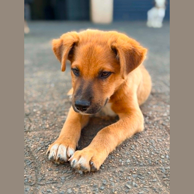 Photo of Jet Lee