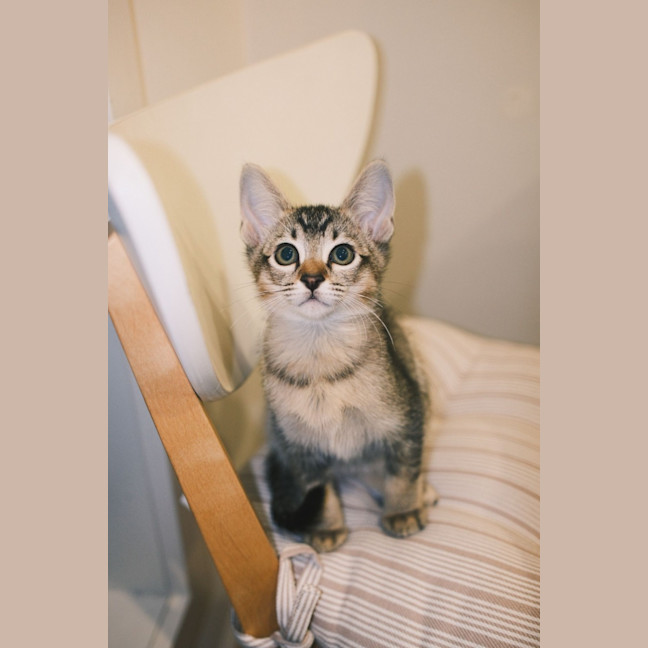 Photo of Sammy