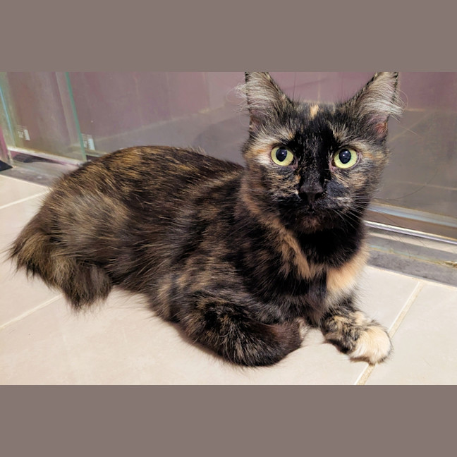 Photo of Hera