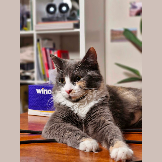Photo of Twix