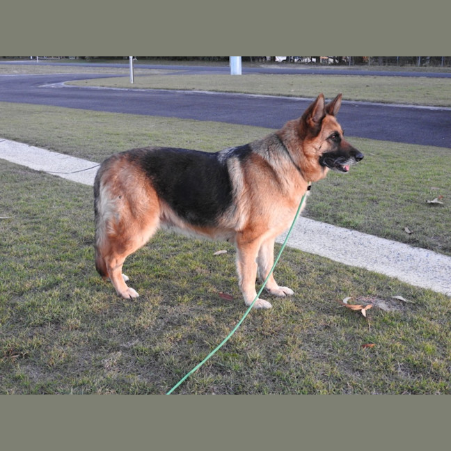 Photo of Molly
