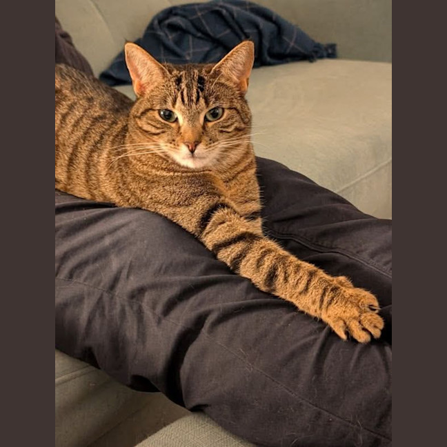 Photo of Gracie Meet Me@Petstock Chelsea Store