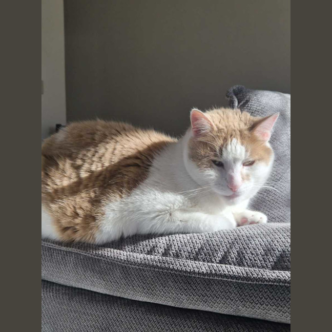 Photo of Dj