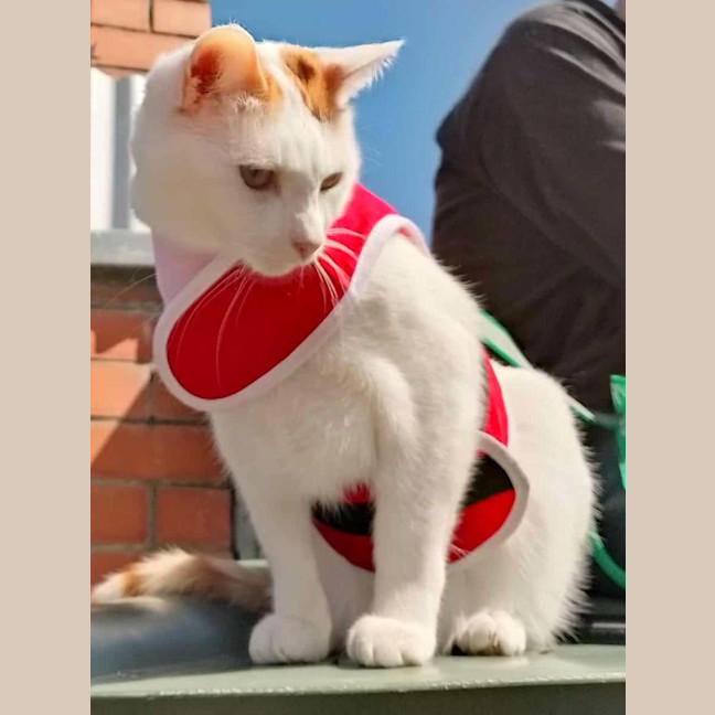 Photo of Spice