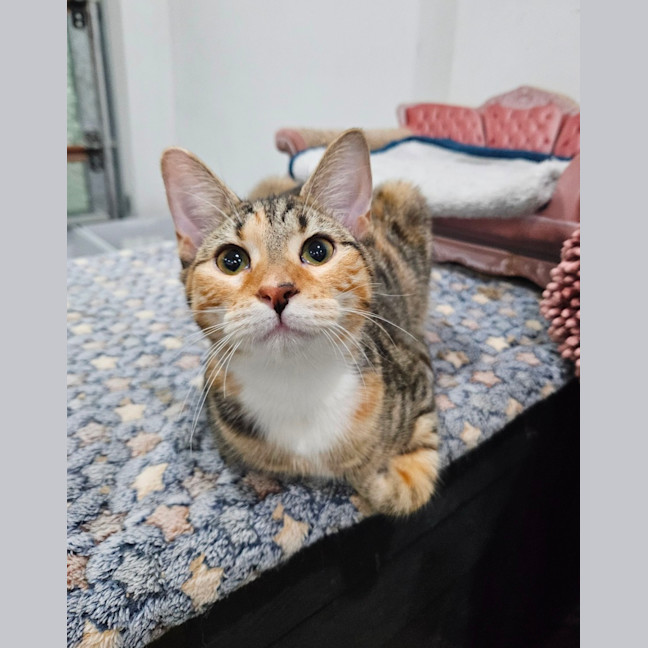 Photo of Pretty Girl