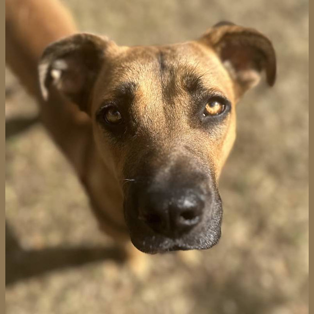 Photo of Blue