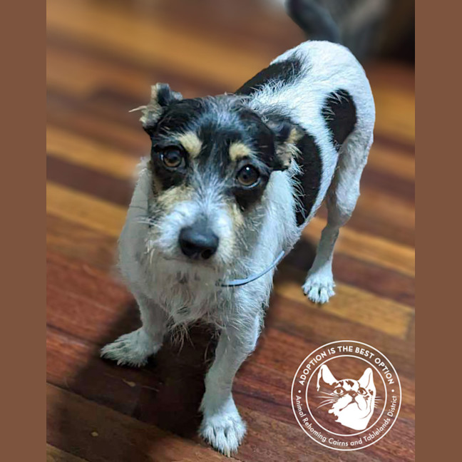 Photo of Chev And Elvis