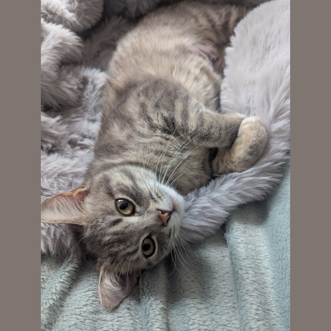 Photo of Sylvie