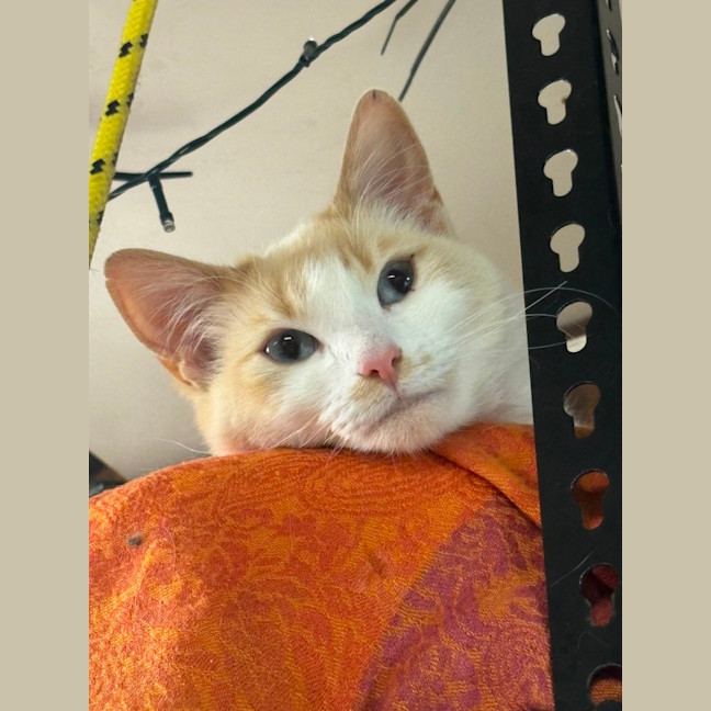 Photo of Tatina 💗