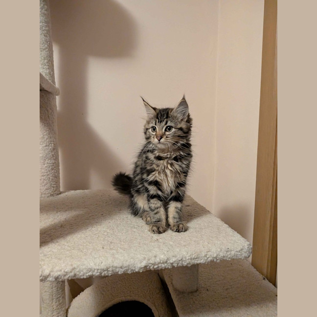 Photo of Rosalita