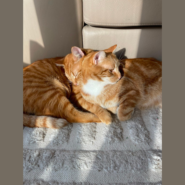 Photo of Grandpa George And Grandpa Joe