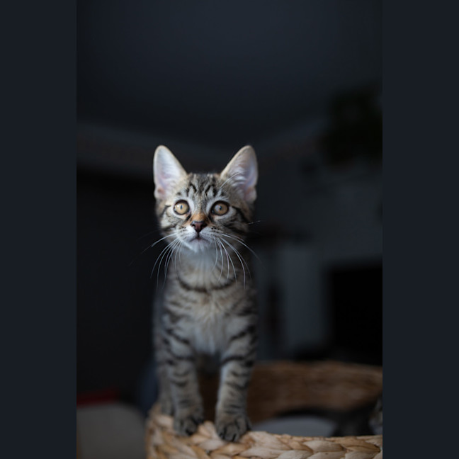 Photo of Stacys Brother