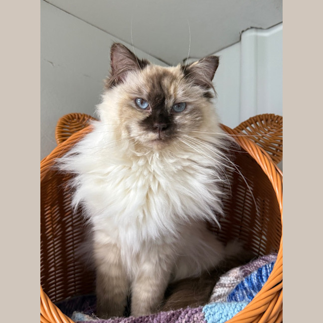 Photo of Bubbles