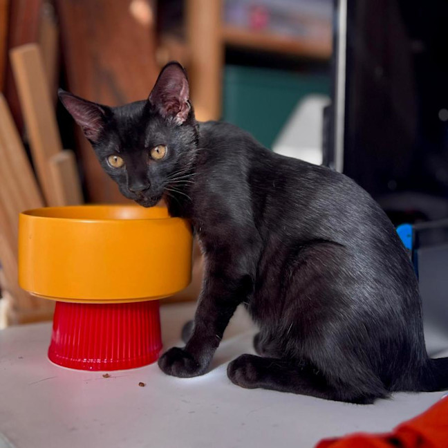 Photo of Bobby