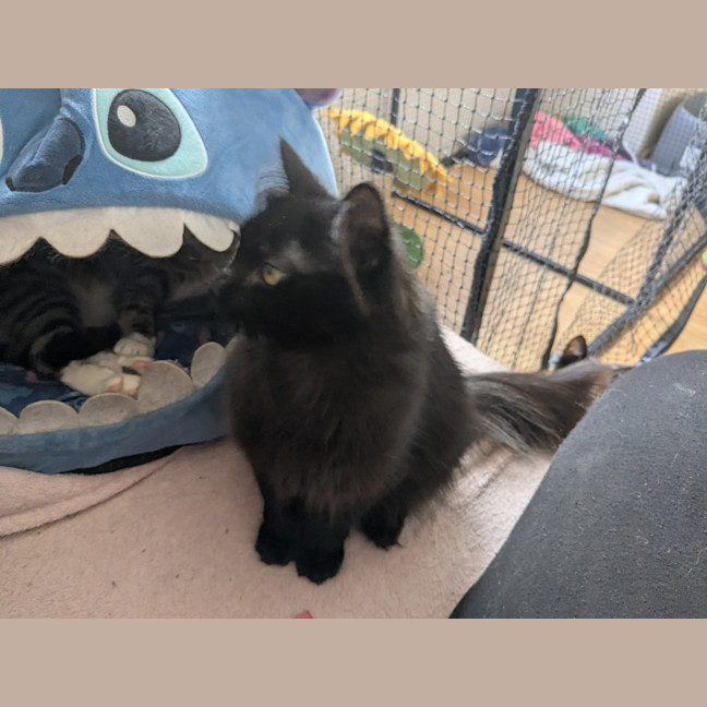 Photo of Belle