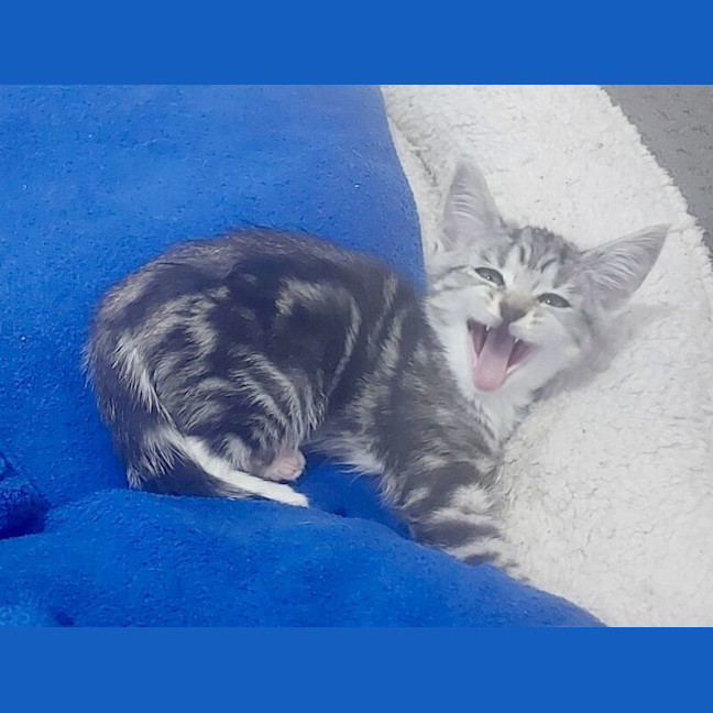 Photo of Mildred