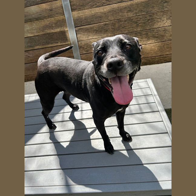 Photo of Maisey