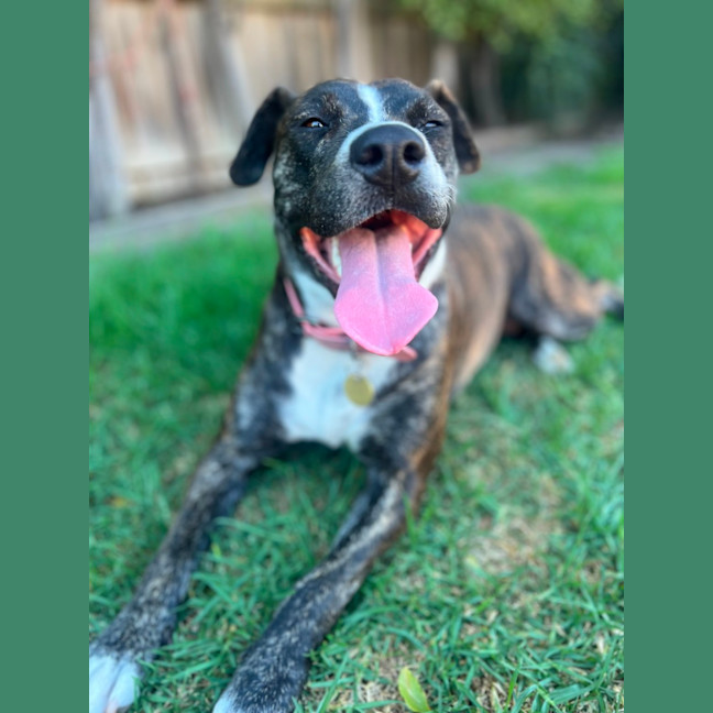 Photo of Darcee Cameron