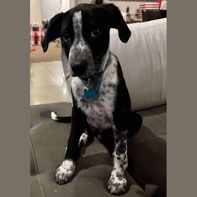 Photo of Hugo