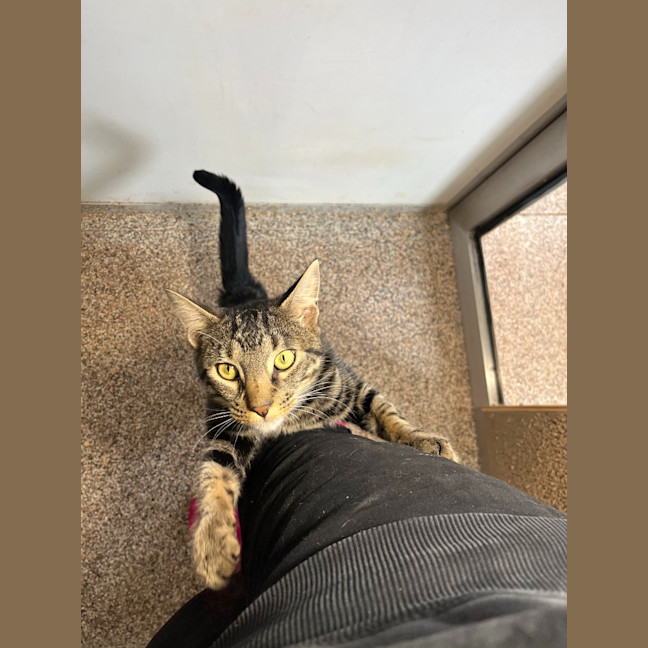 Photo of Billy
