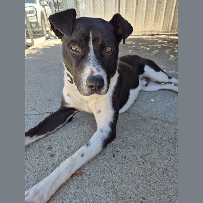 Photo of Kenny! 🤍🖤