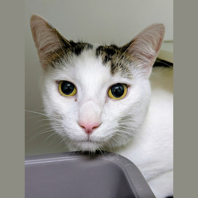 Photo of 🎪 George 6613 🎪