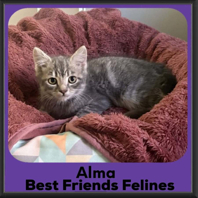Photo of Alma