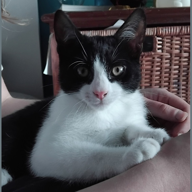 Photo of Vincent 