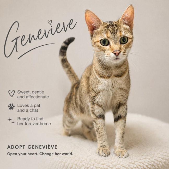 Photo of Genevieve