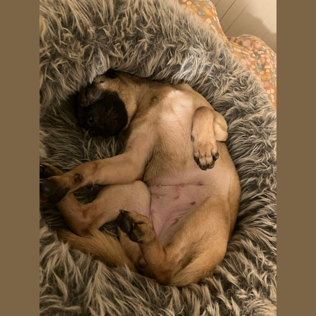 Photo of Minnie 🐭