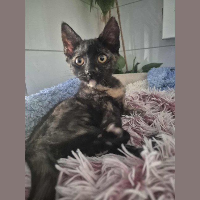 Photo of Sally