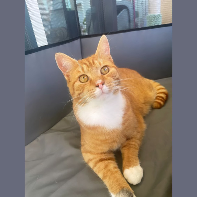 Photo of Lily & Charlie